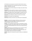 Los horizontes del suelo