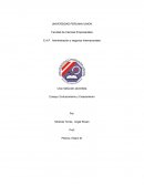 Ensayo: Evolucionismo y Creacionismo