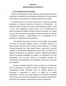 CAPITULO I DESCRIPCIÓN DEL PROYECTO