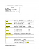 EVALUACION DE LA CARGA DE SERVICIO Z1