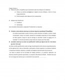 ¿Son conceptos relacionados o separados? Fundamente su respuesta.