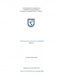 Informe Seminario de Contabilidad.