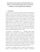 Respuesta de la masa muscular al entrenamiento físico en la trucha arco iris Oncorhynchus mykiss ante la presencia de la miostatina y la via de señalización de la calcitenuria