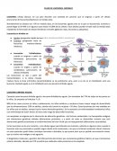 Leucemias células blancas