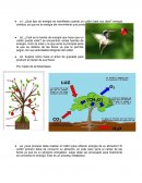 Un hallazgo en el jardin