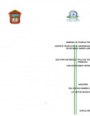 Análisis de las competencias profesionales desarrolladas, de acuerdo al perfil de egreso