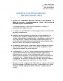 Caso prius microentorno y macroentorno.