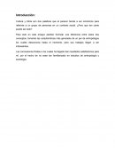 Cultura y Etnia son dos palabras que al parecer tiende a ser sinónimos para referirse a un grupo de personas en un contexto social. ¿Pero que tan cierto puede ser esto?