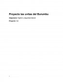 Proyecto las uvitas del Burumbu.