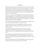 Problemas en la agricultura peruana.