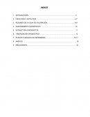 PROCESO DE PEDIATRIA