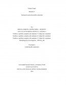 Teorización acerca de posibles soluciones