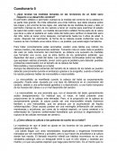 ¿Qué revelan las medidas tomadas en las revisiones de un bebé sano respecto a su desarrollo cerebral?