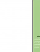 La migración. Los tipos.