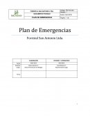 El presente Plan de Emergencias, se genera a partir de los riesgos inherentes que existen en las faenas de Forestal San Antonio Ltda., en adelante la empresa.
