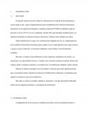 Realización de un manual de procedimientos y costos según lo que exige la implementación para la habilitación del sistema de facturación electrónica en el segmento de Pequeña y medianas empresas