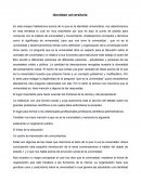 Identidad universitaria. En este ensayo hablaremos acerca de lo que es la identidad universitaria,