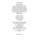 Ensayo "Corazón coraza"