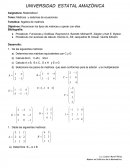 Matrices y sistemas de ecuaciones
