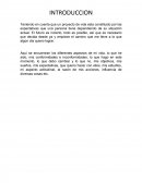 PROYECTO DE VIDA A LARGO PLAZO.