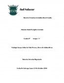 La vida precoz y breve de sabina Rivas.