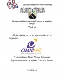 Eficiencia de los productos omnilife en el organismo humano.