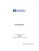 La eutanasia en México
