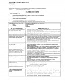 Procedimiento de trabajo seguro.