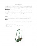 La Metalografía de campo