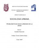 TRANSPOTE PUBLCO Y COMERCIO AMBULANTE