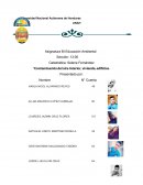 Contaminacion de edificios.