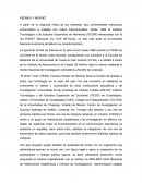 REDMEX Y MEXNET (historia).