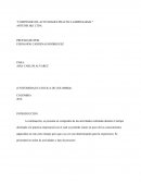 Compendio de actividades practica empresarial. Artedis J&E Ltda