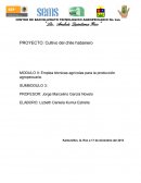 MODULO II: Emplea técnicas agrícolas para la producción agropecuaria. SUMBODULO 3: