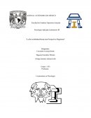 La reversibilidad desde una perspectiva piagetiana