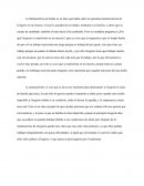 Opinión de la Metamorfosis