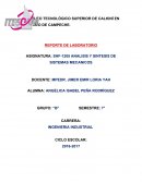 ANALISIS Y SINTESIS DE SISTEMAS MECANICOS 2P