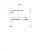 Desarrollo spicologico.