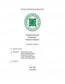 Psicofisiología Trabajo de Investigación “Depresión y Ansiedad”