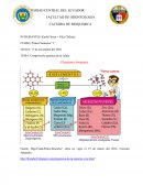 Composición química de la célula.