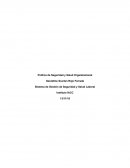 Control 2 Política de Seguridad y Salud Organizacional