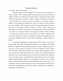 Sistemas Dinamicos. Ingeniería Mecatrónica