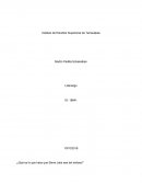 Ensayo lecciones de liderazgo steve jobs.