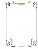 ANÍLISIS DE RADIO “FM 96”