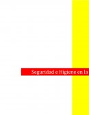 Seguridad e higuiene.