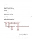 Actividad Aparato respiratorio