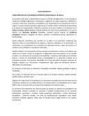 CARACTERISTICAS DE LAS PERSONAS CON DIFICULTADES FÍSICAS Y DE SALUD.