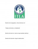 Demana y contestacion