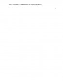 MEJORAMIENTO DE UN MODELO DE NEGOCIO MEDIANTE EL APROVECHAVIMIENTO DE LA EXTRACCION DE LA ROCA FOSFORICA