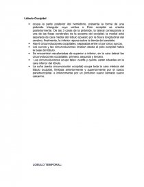 Lobulos. Página 1